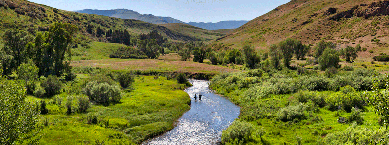 Fly_Fishing_800x300