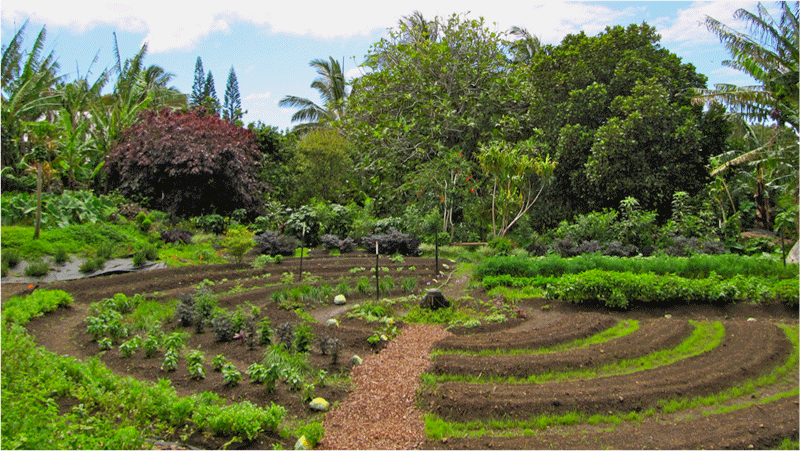 Permaculture_800x451