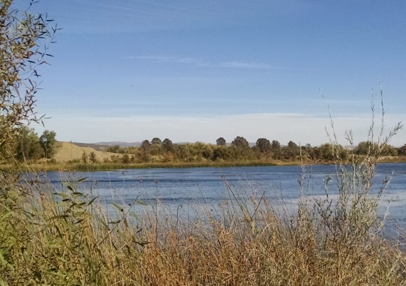 Yuba River Valley