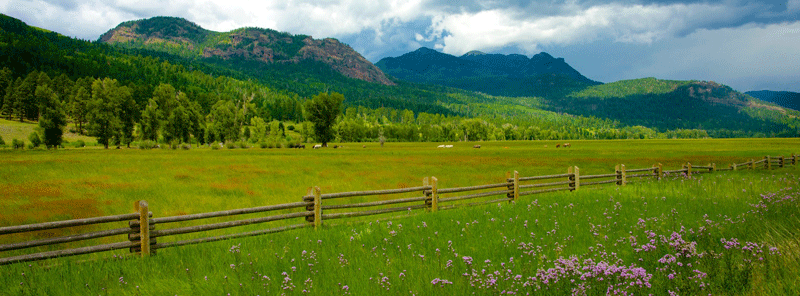 wooden-fence-ranchland-800